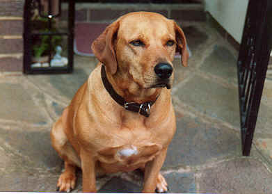 JXIMG-4.BMP (328158 bytes)